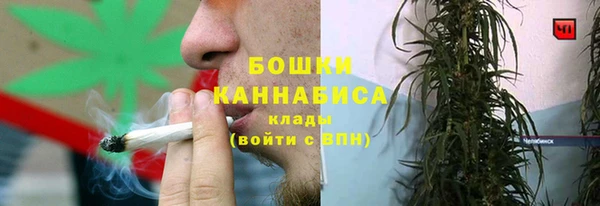 ПСИЛОЦИБИНОВЫЕ ГРИБЫ Ладушкин