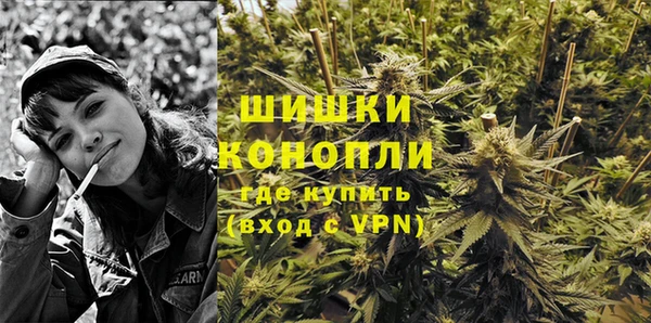 ПСИЛОЦИБИНОВЫЕ ГРИБЫ Ладушкин